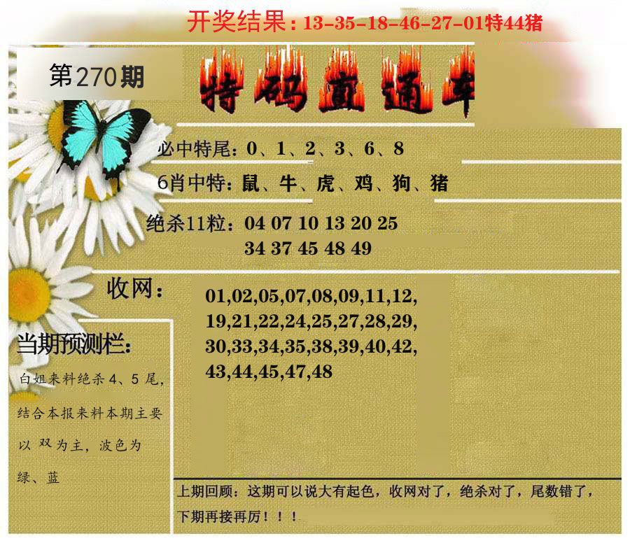 特码直通车 第269期