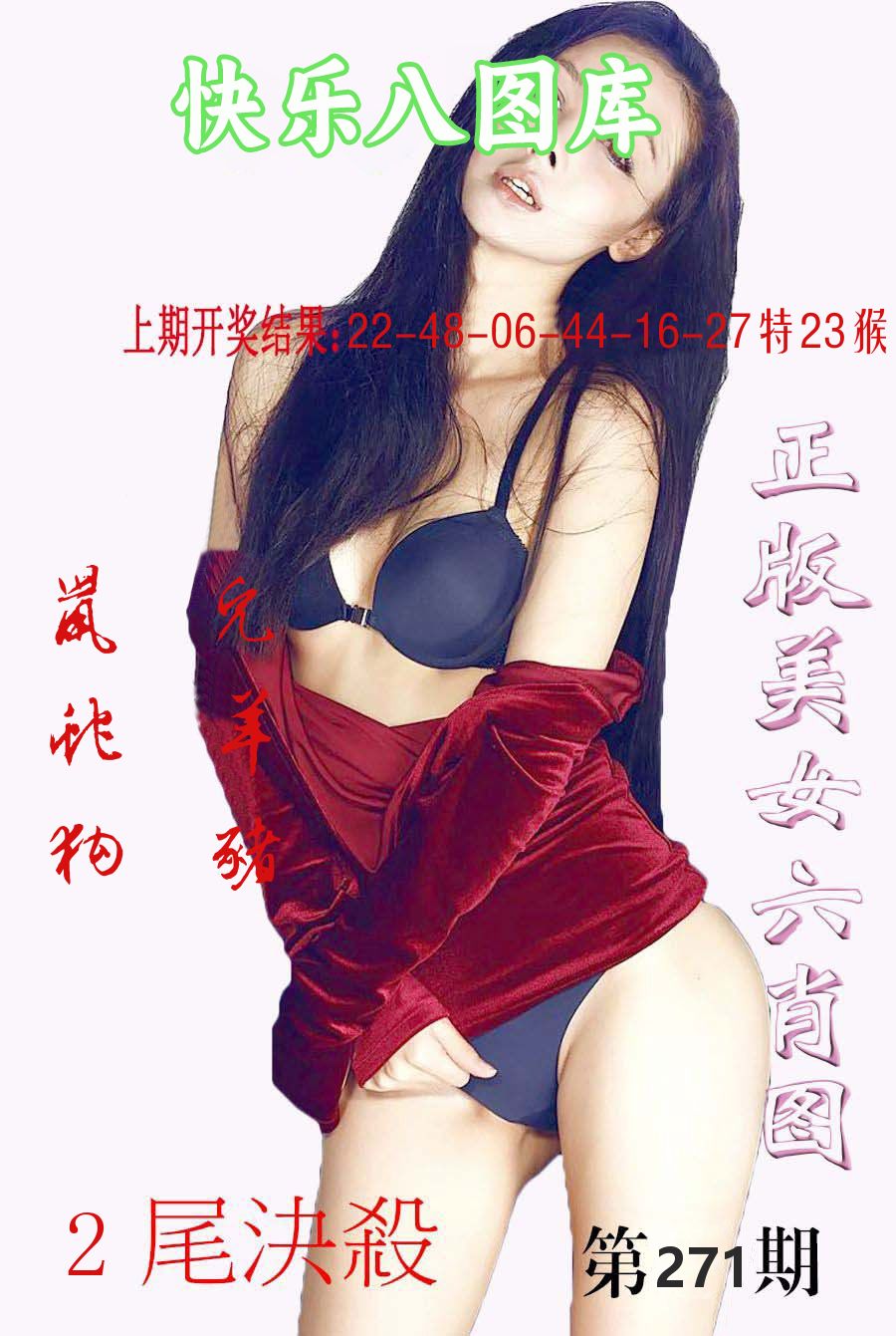 快乐八图库 第271期
