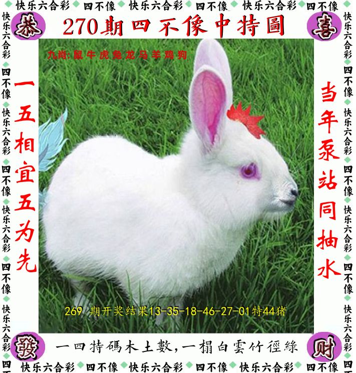 四不像 第270期