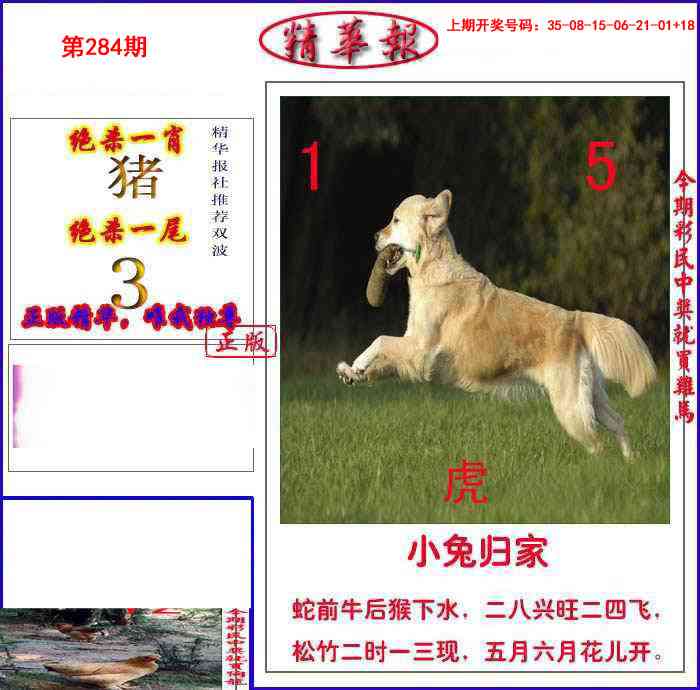 新精华报报 第284期