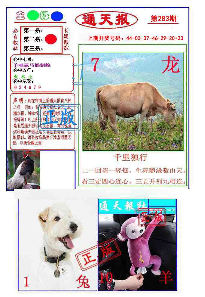 通天杀波图1 第283期