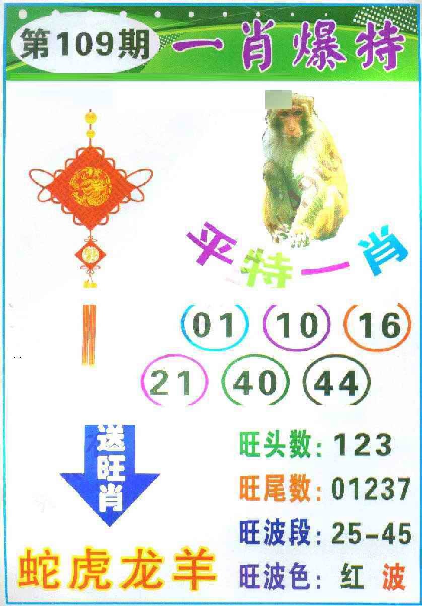 一肖爆特 第109期