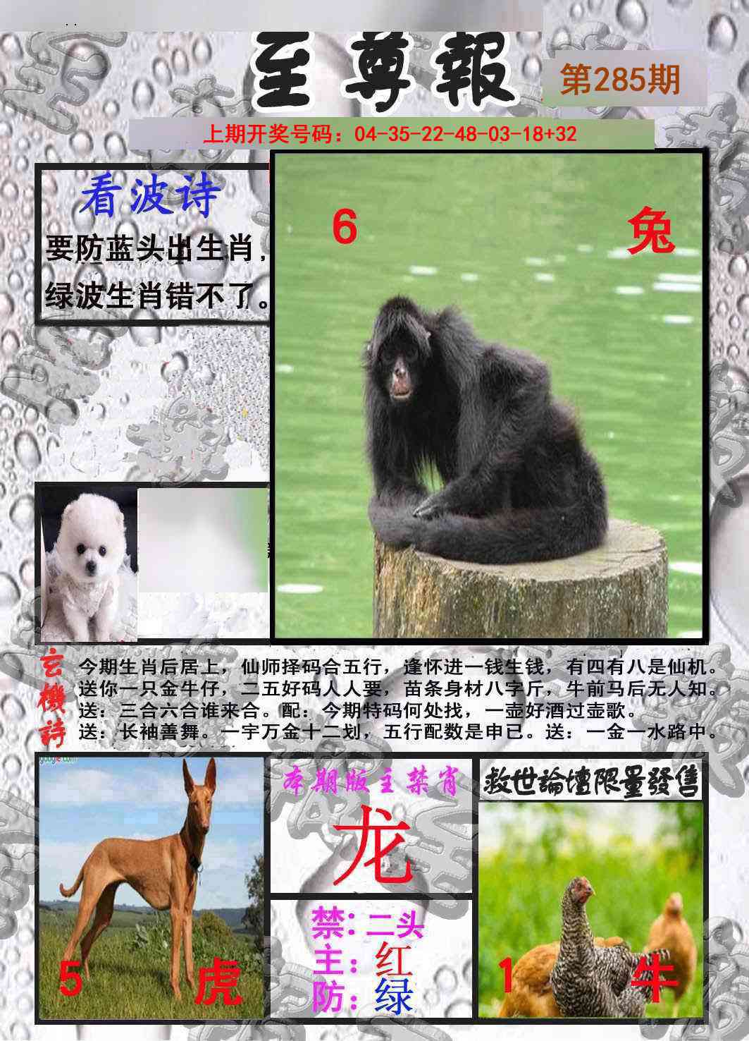 至尊报 第284期