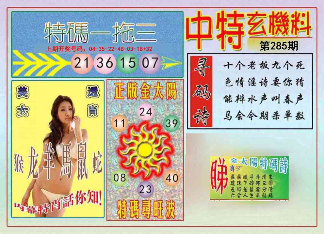 中特玄机料 第285期