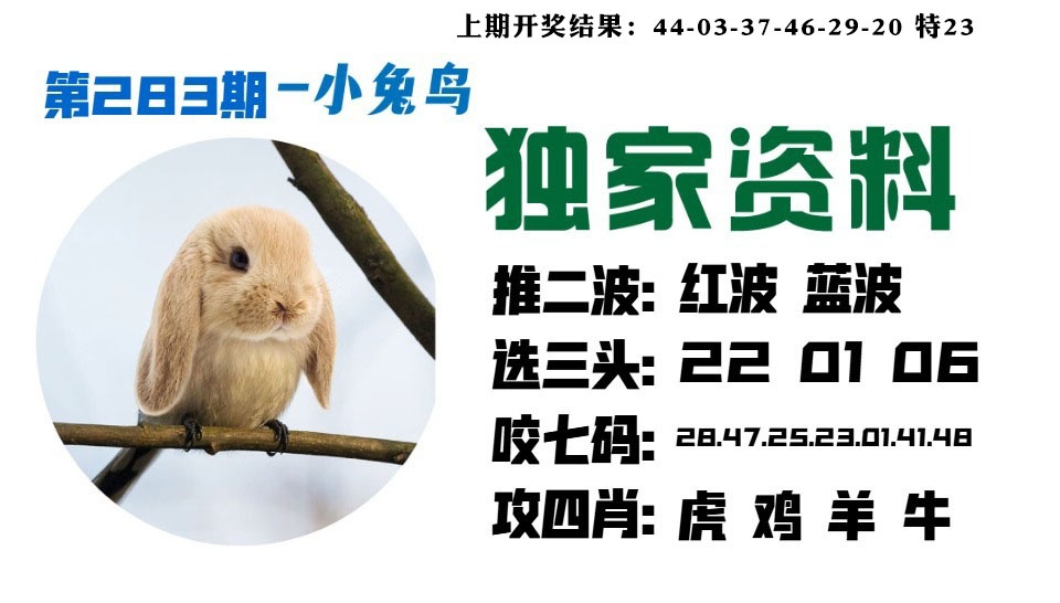 小兔鸟 第283期