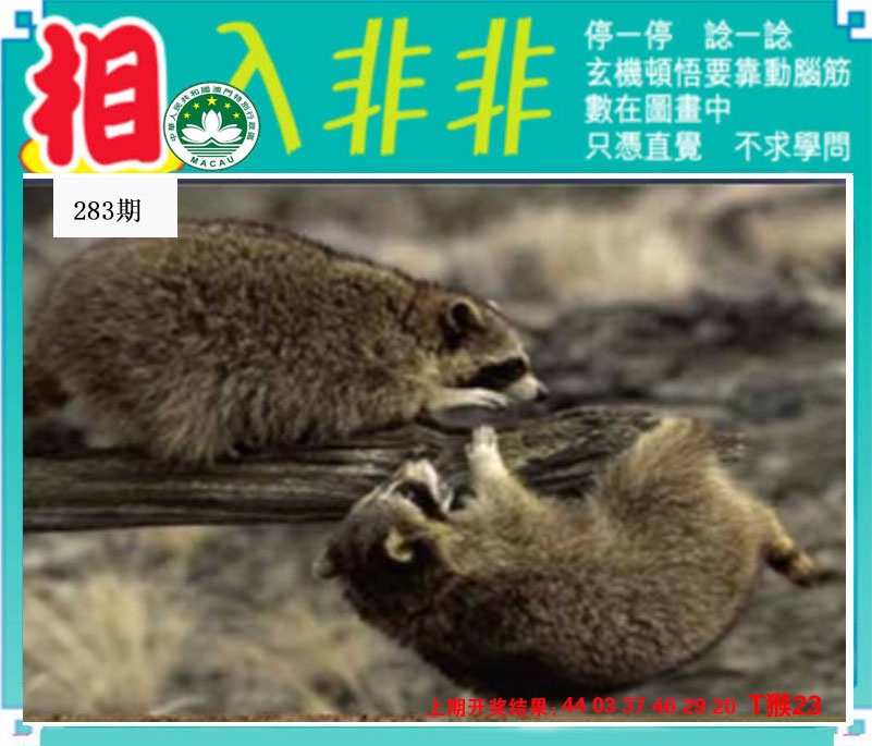 相入非非 第283期