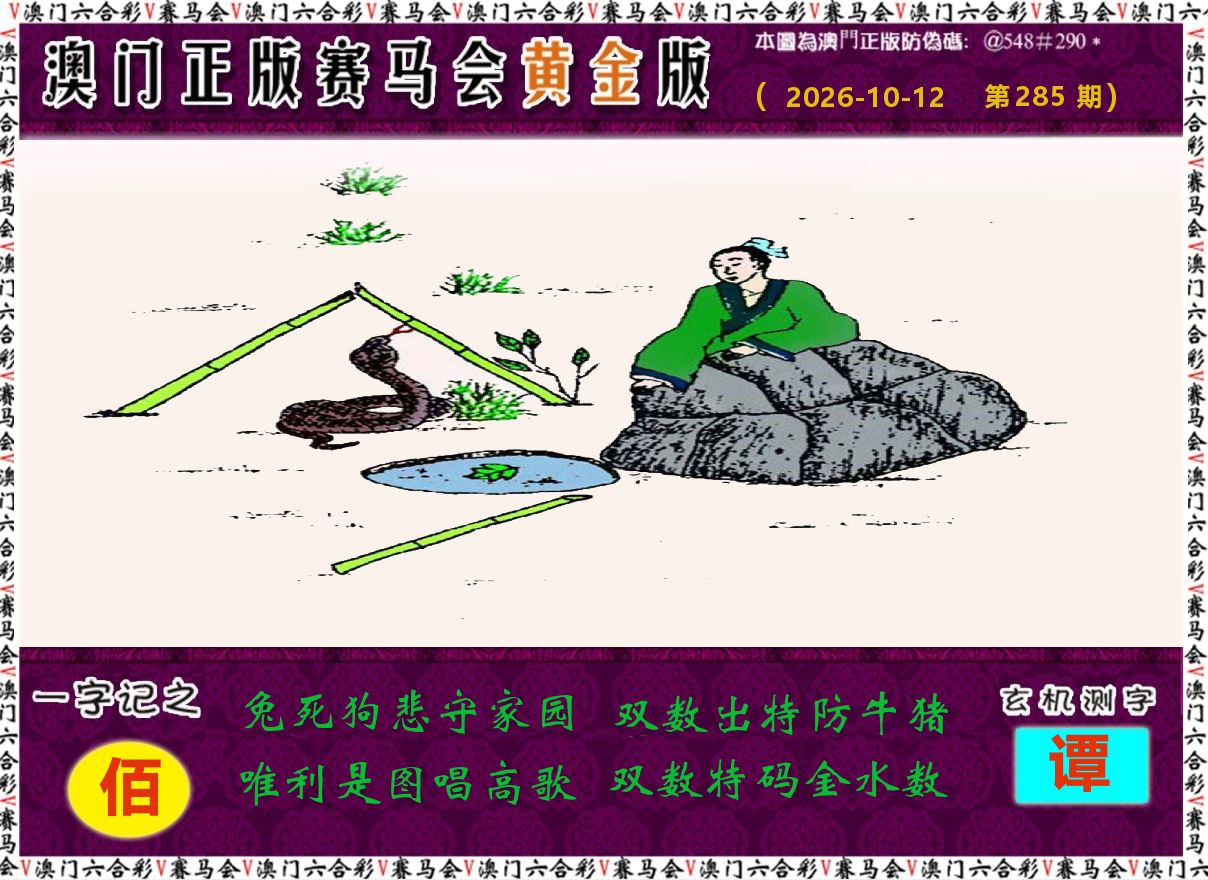 赛马会黄金版 第285期