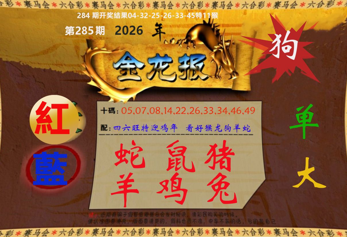 金龙报 第284期
