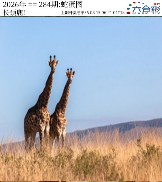 正版蛇蛋图 第283期