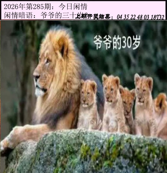 今日闲情 第284期