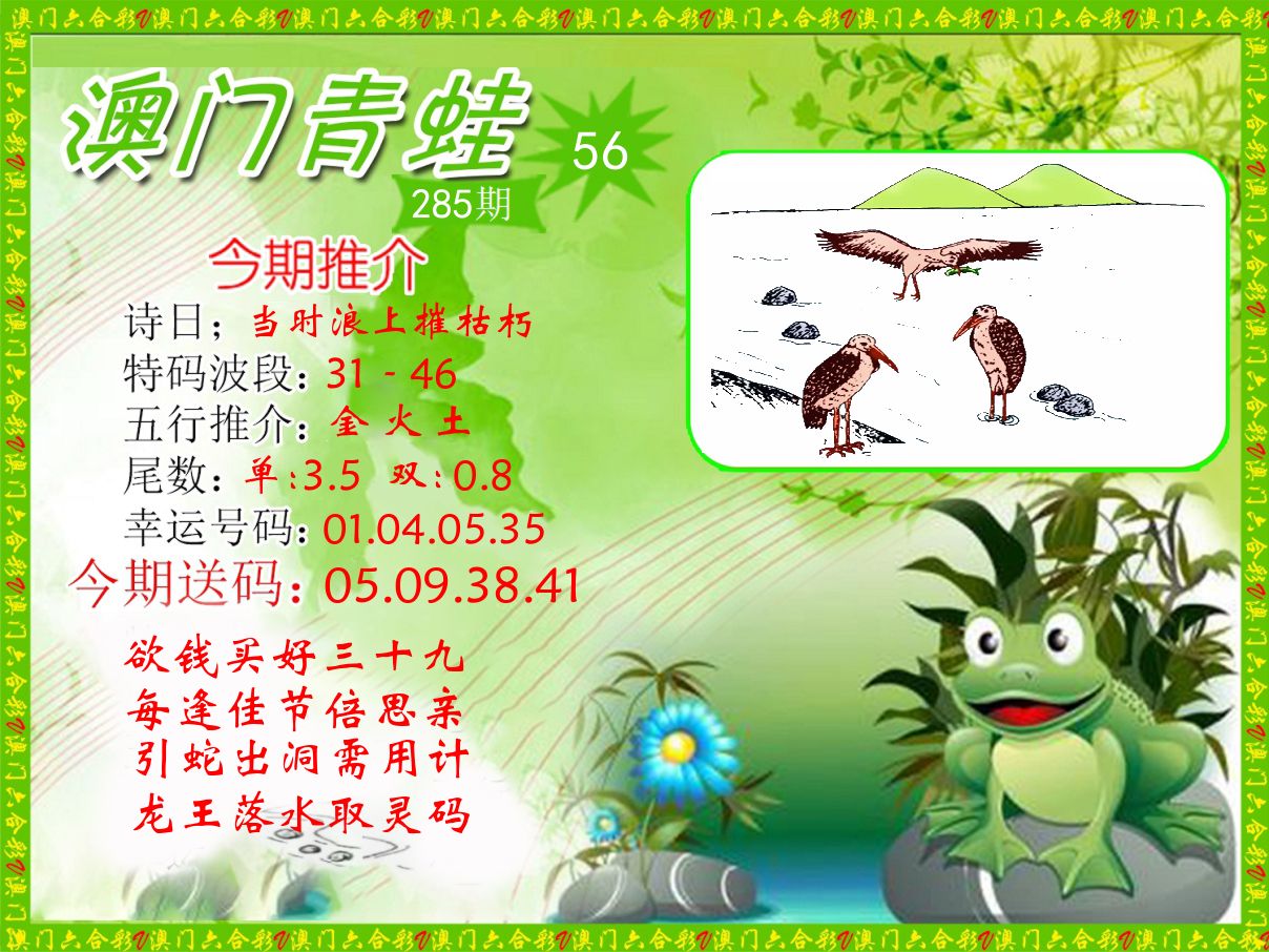 青蛙系列56 第285期