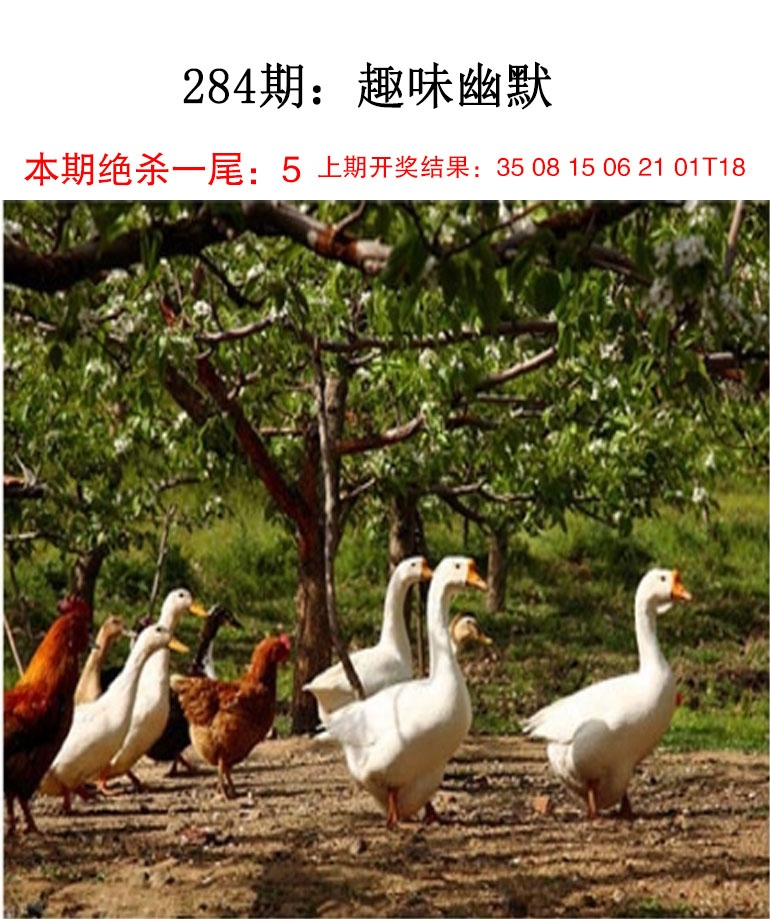 趣味幽默 第283期