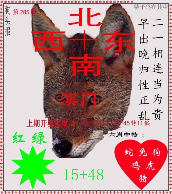 狗头报 第285期