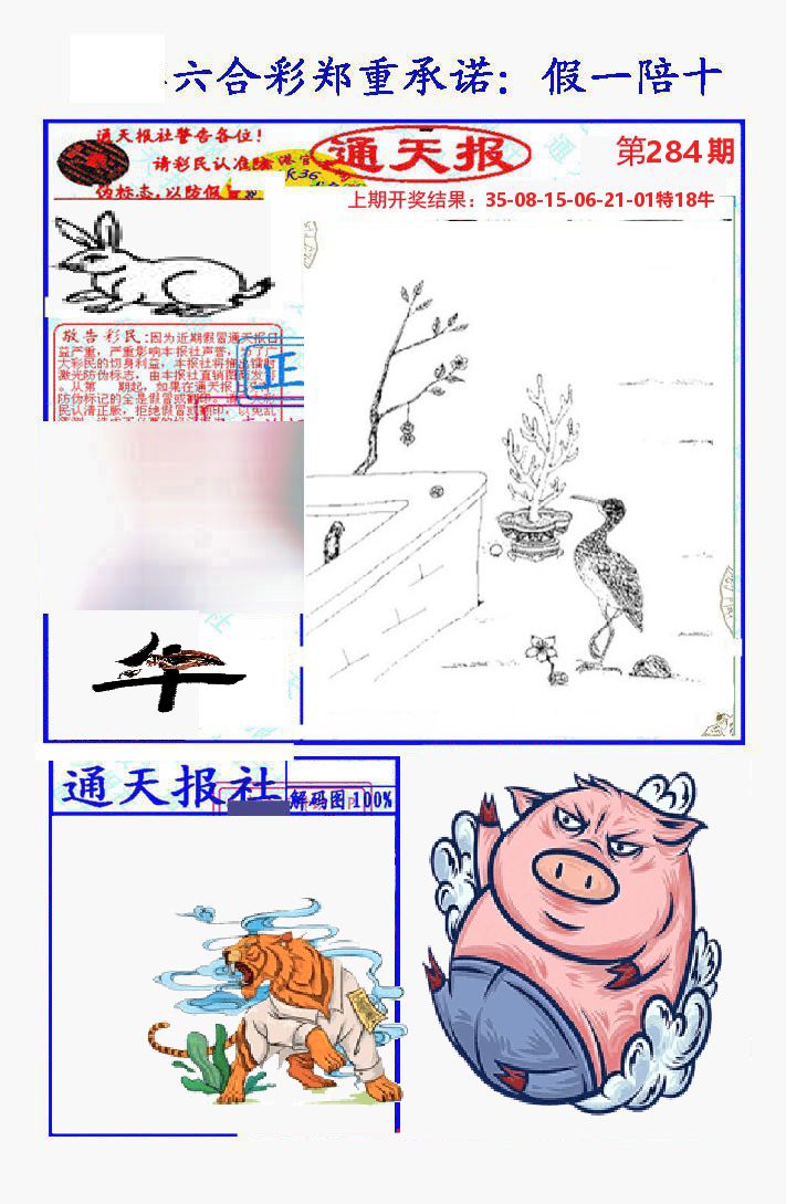 通天报 第284期