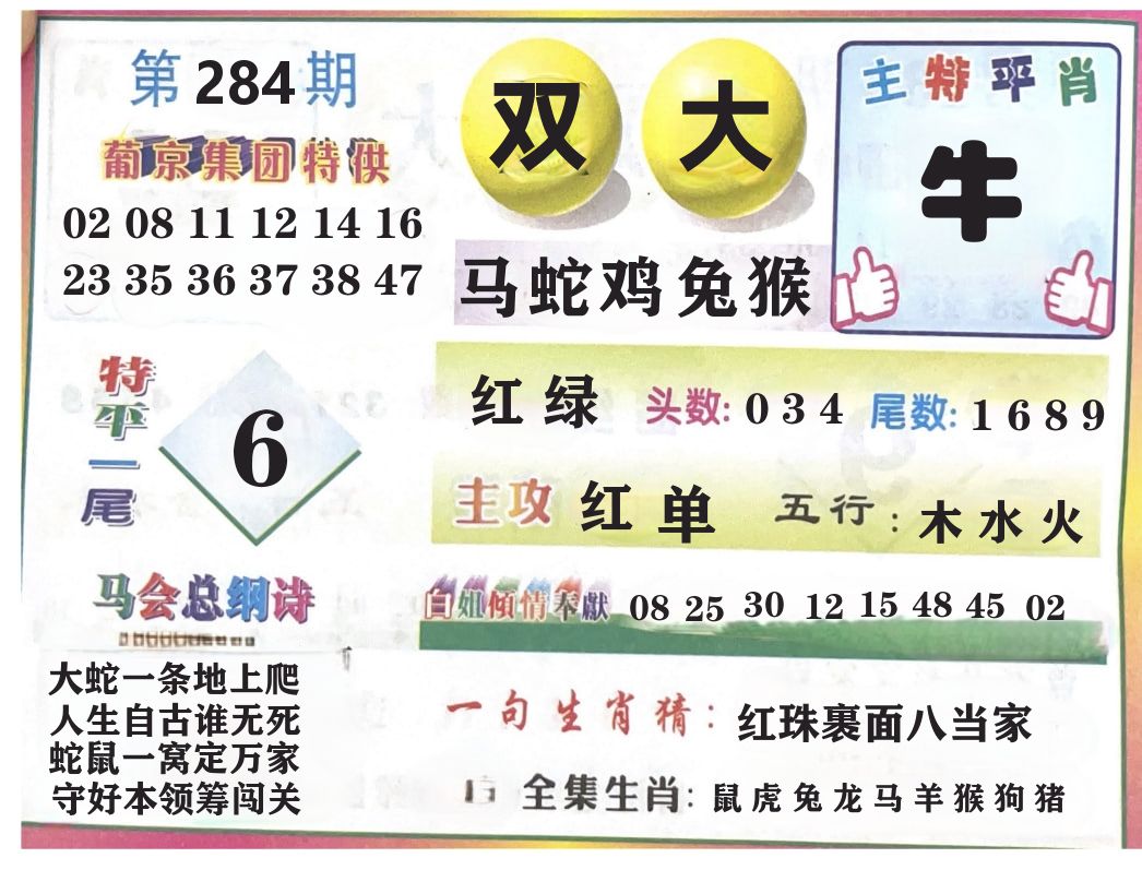 金鬼大佬 第284期