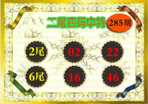 二尾四码 第285期