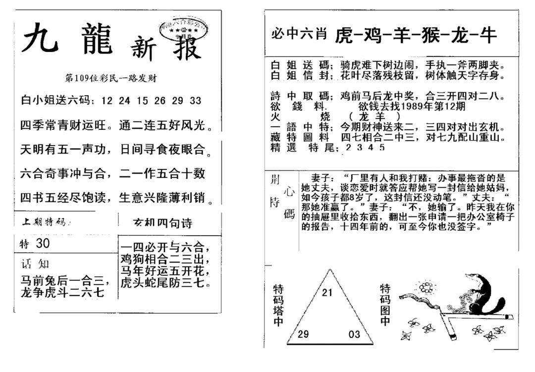 九龙新报(新) 第108期