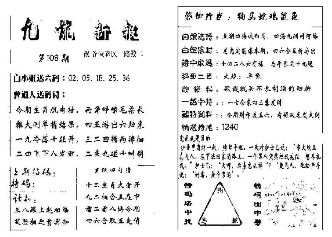 九龙新报(生肖版) 第108期