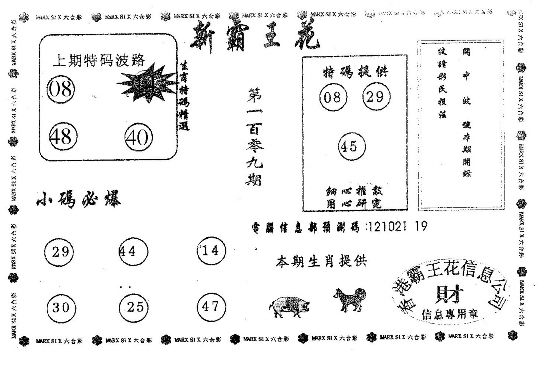 新霸王花 第109期